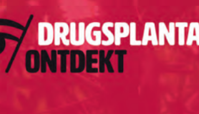 Drugsplantage ontdekt