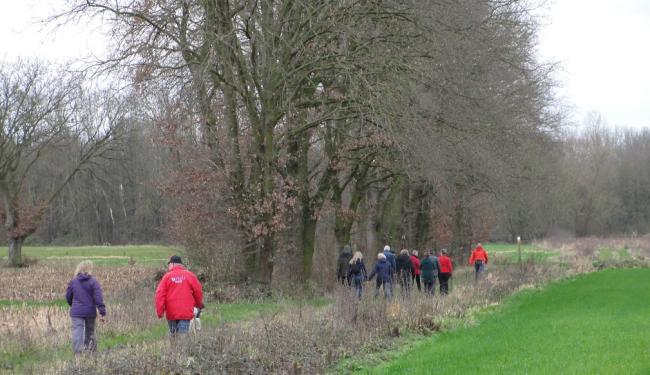 Herebossenwandeling © kwb Hulshout