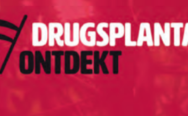 Drugsplantage ontdekt