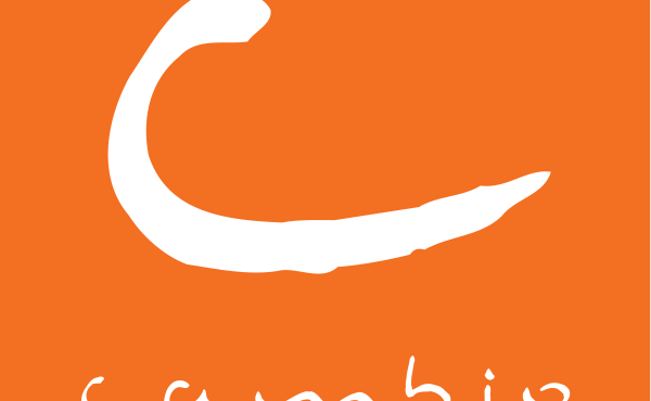 Cambio logo